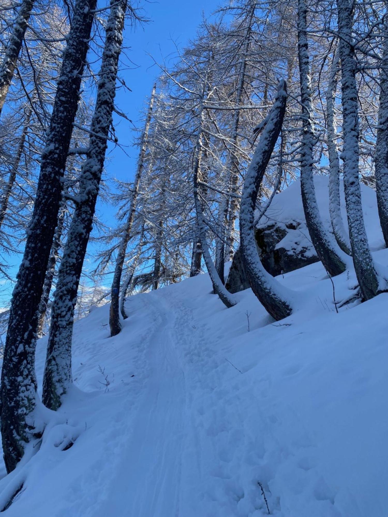 Les Melezes 1 Studio Barcelonnette Kültér fotó